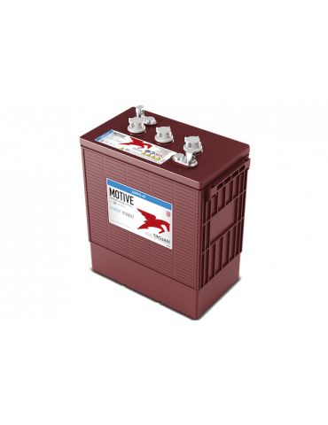 Тяговий акумулятор Trojan J305PG-AC WET, Flooded, 6В, 271 А·год купити - AnyBattery.com.ua