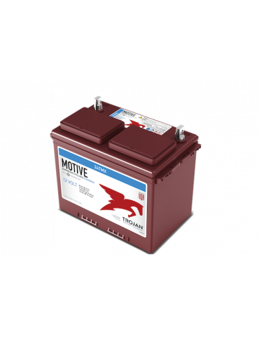 Тяговий акумулятор Trojan 24TMX WET, Flooded, 12В, 70 А·год купити - AnyBattery.com.ua