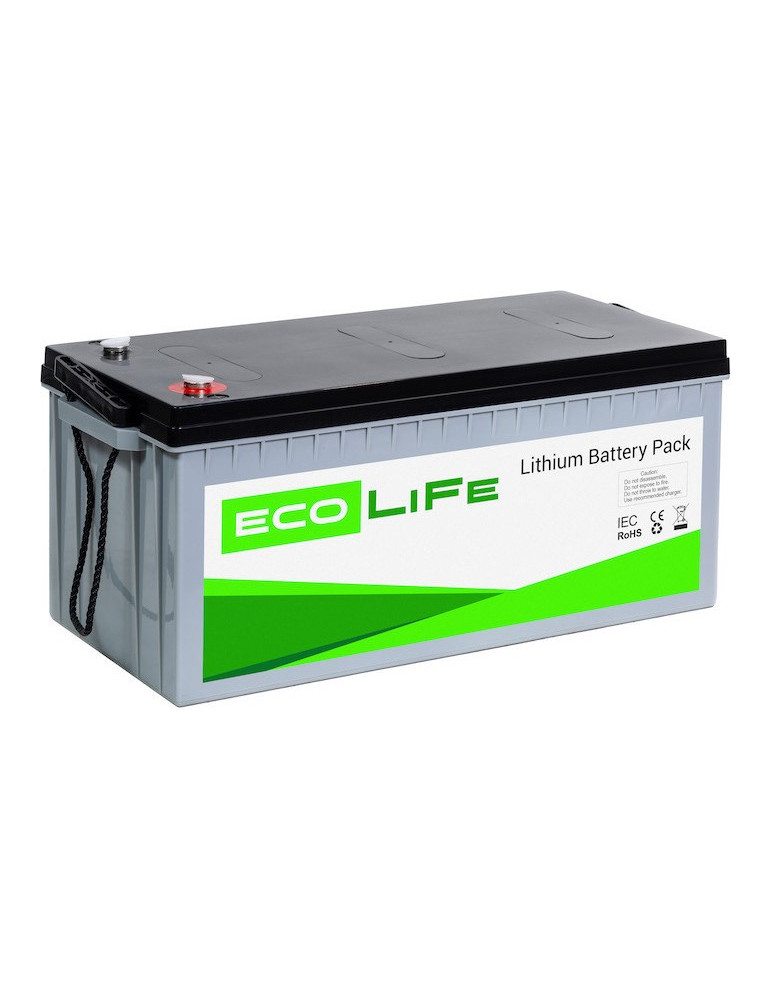 Акумулятор (літій залізо фосфатний) EcoLiFe 12-200 LiFePO4, 12В, 208 А·год, 2662,4 Вт купити - AnyBattery.com.ua