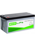 Акумулятор (літій залізо фосфатний) EcoLiFe 12-200 LiFePO4, 12В, 208 А·год, 2662.4 Вт